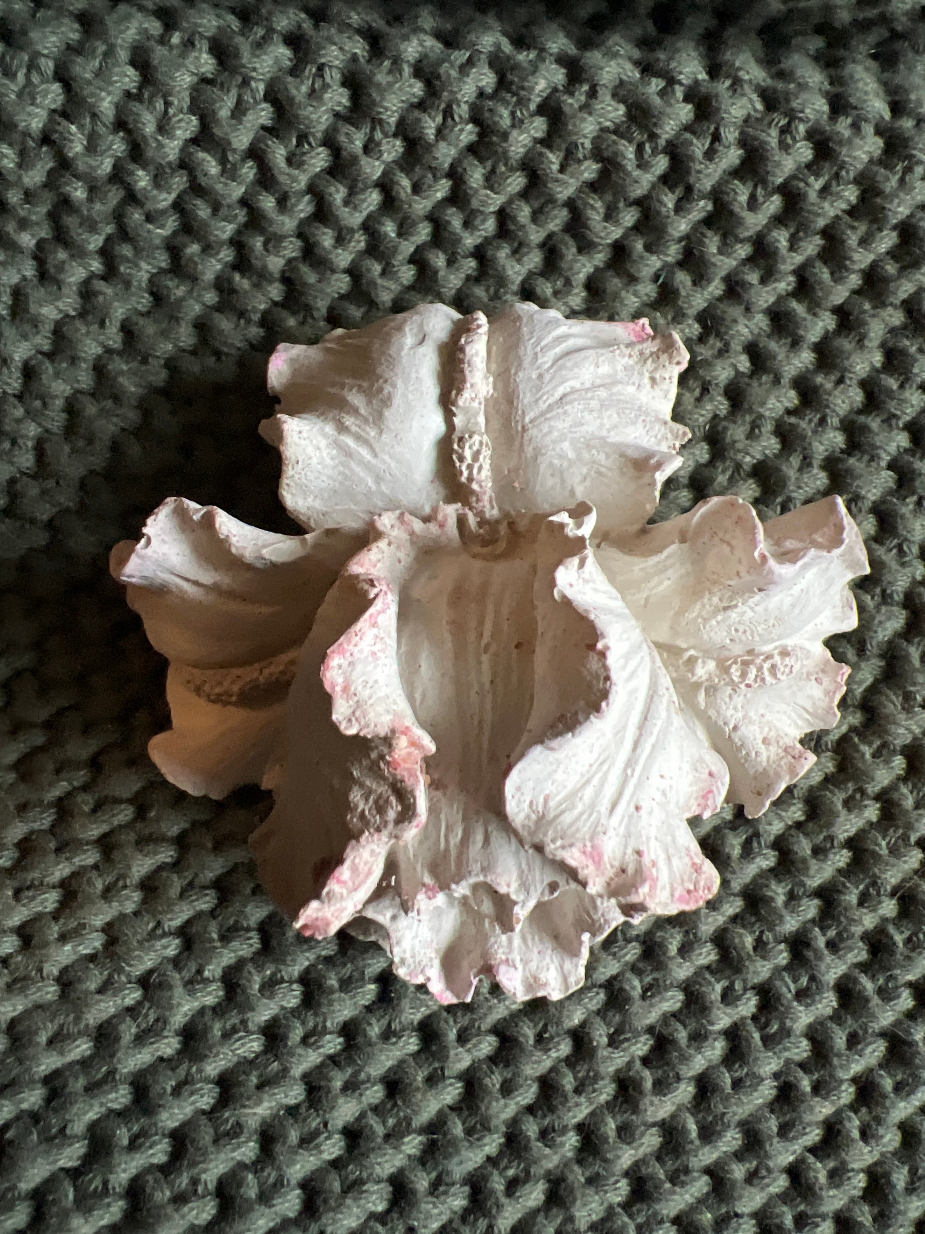 Iris top