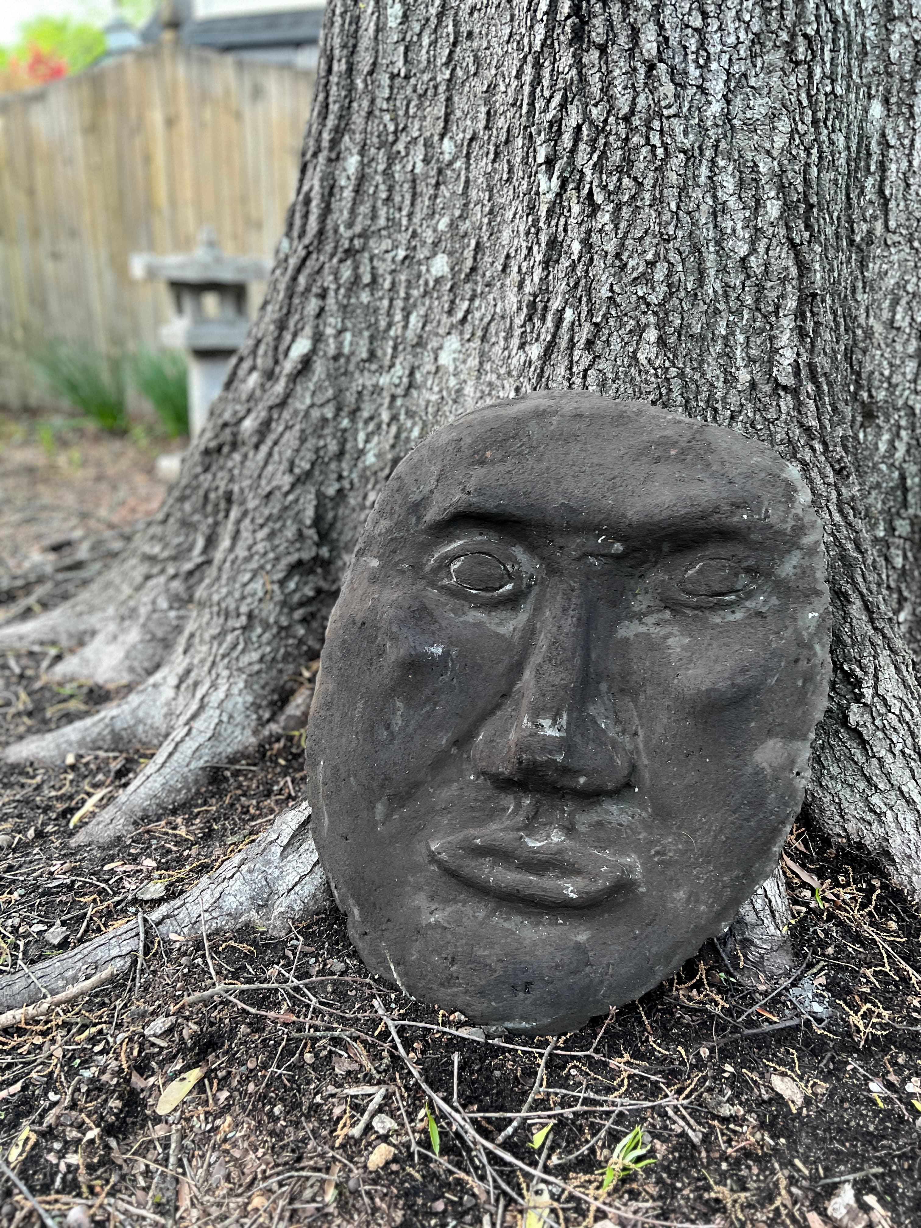 Charcoal tinted mask